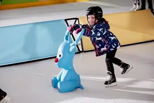 0_DHR_HMB_NationalIceXmas141118_02