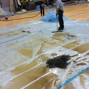 Manglerud Ishall 2016 134 scaled — Oslo