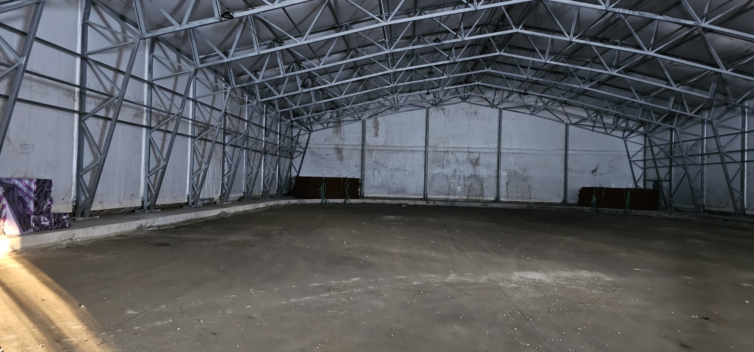 20240105 103627 1 scaled — Moss