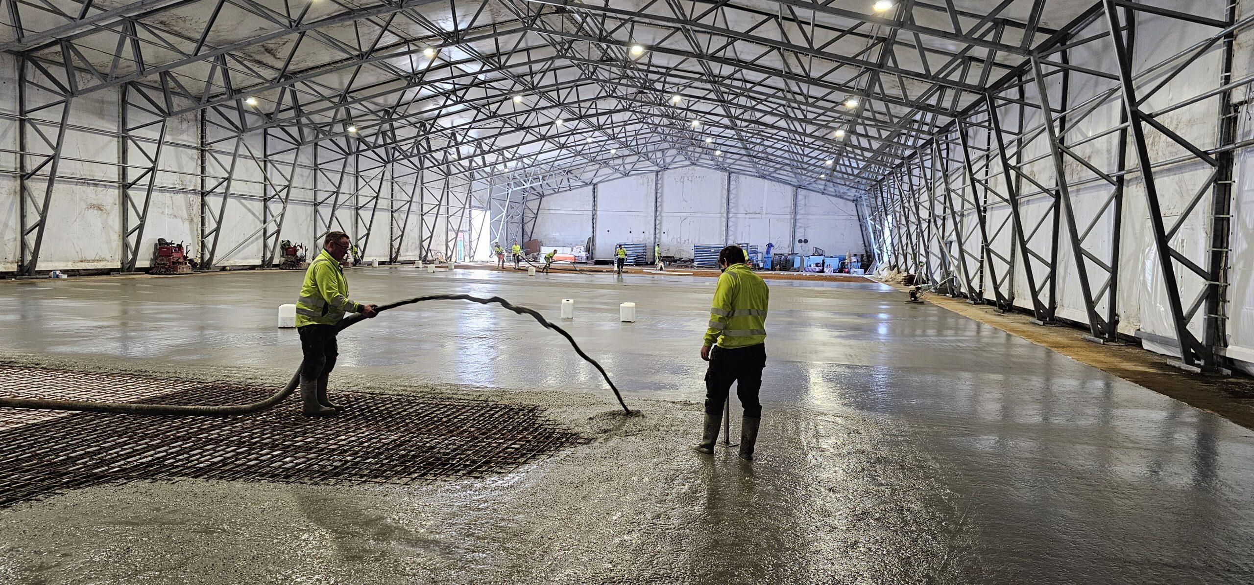 20240312 111537 scaled — Moss