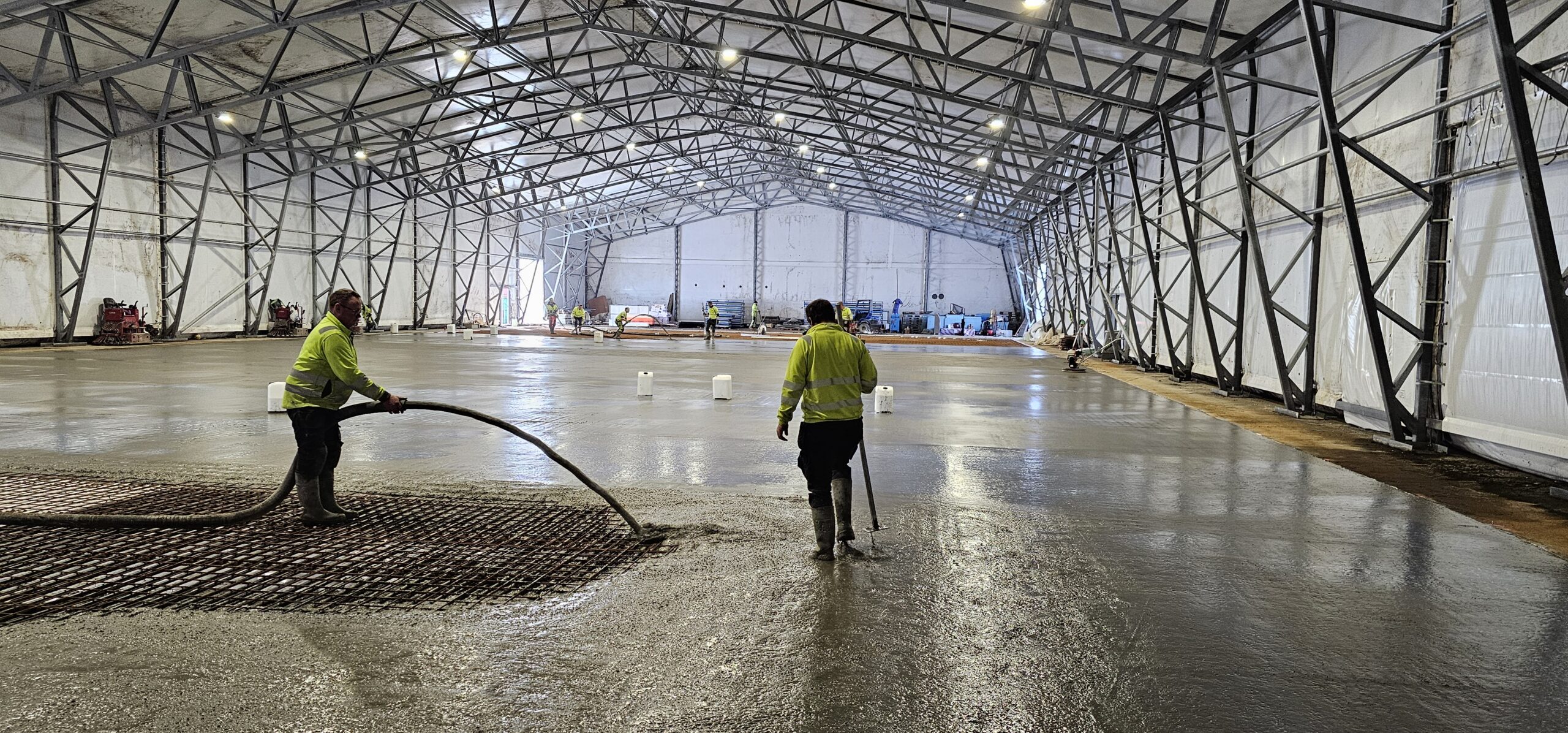 20240312 111538 scaled — Moss