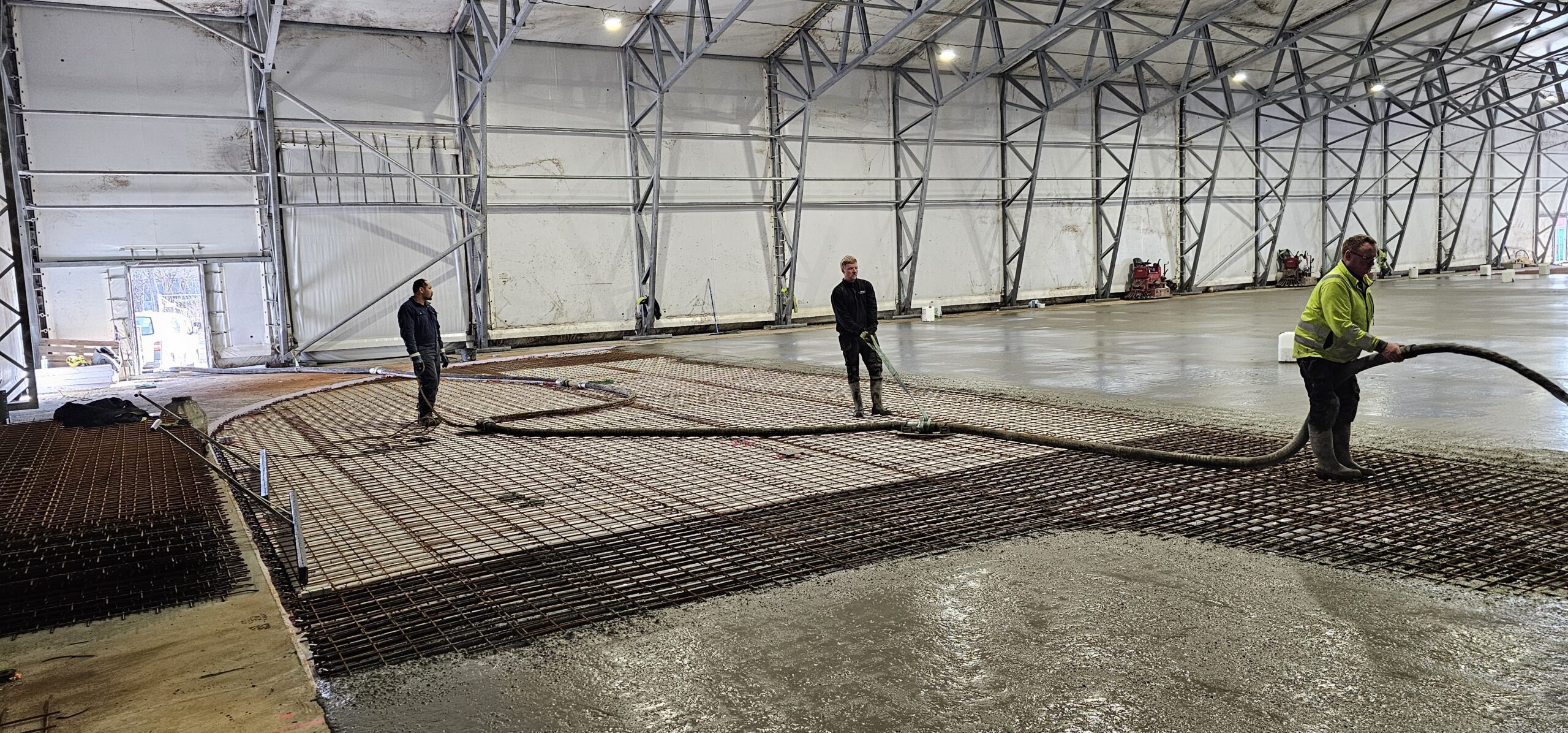 20240312 111542 scaled — Moss