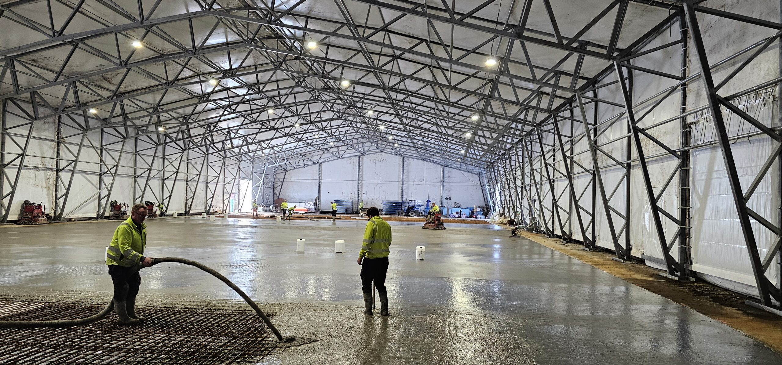 20240312 111544 scaled — Moss