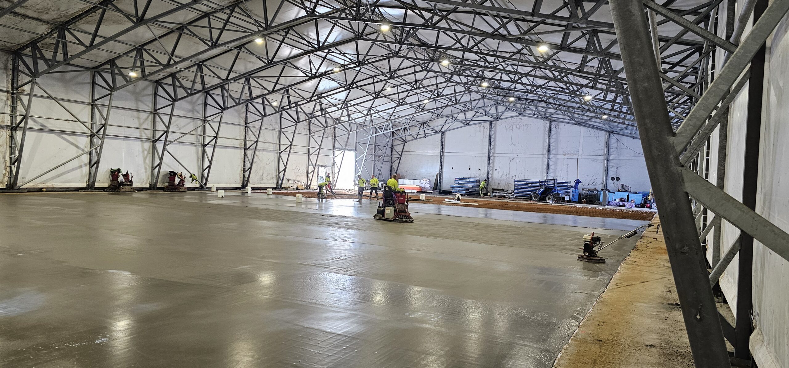 20240312 111646 scaled — Moss