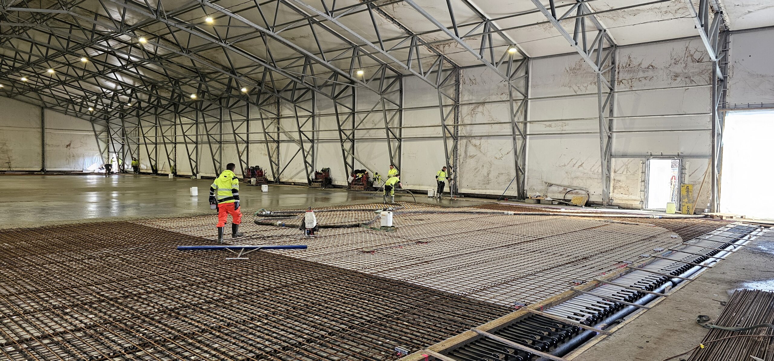 20240312 112252 scaled — Moss