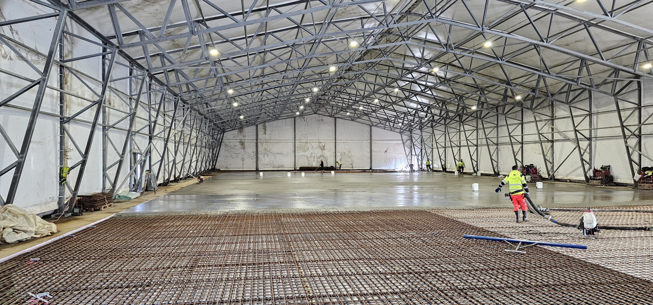 20240312 112258 scaled — Moss