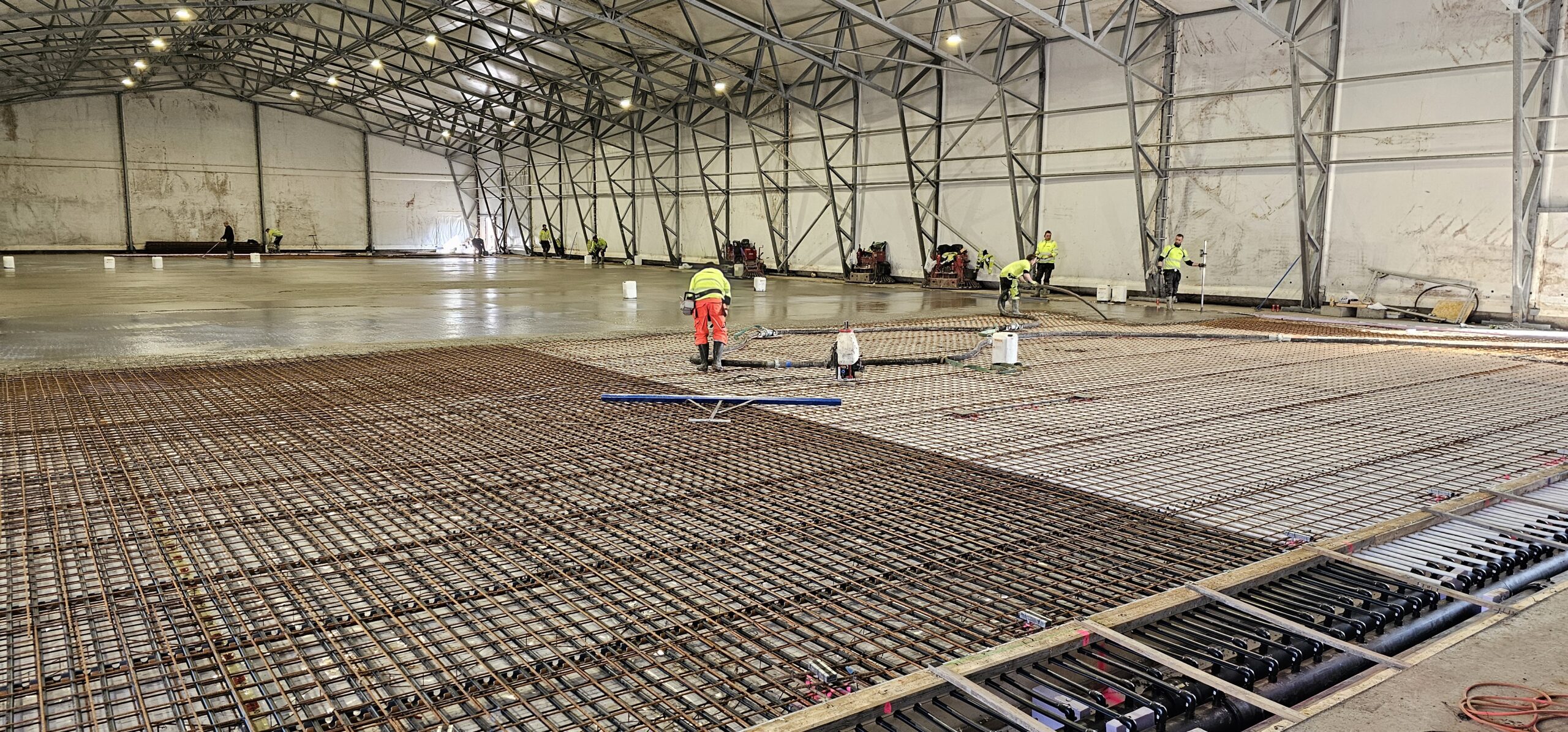 20240312 112300 scaled — Moss