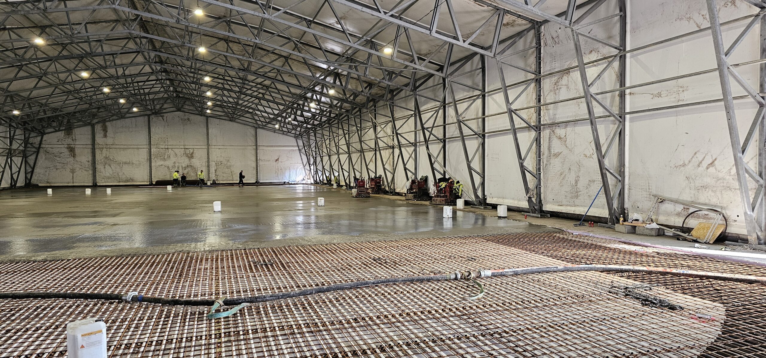 20240312 114751 scaled — Moss