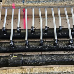 20240312 114757 scaled — Moss