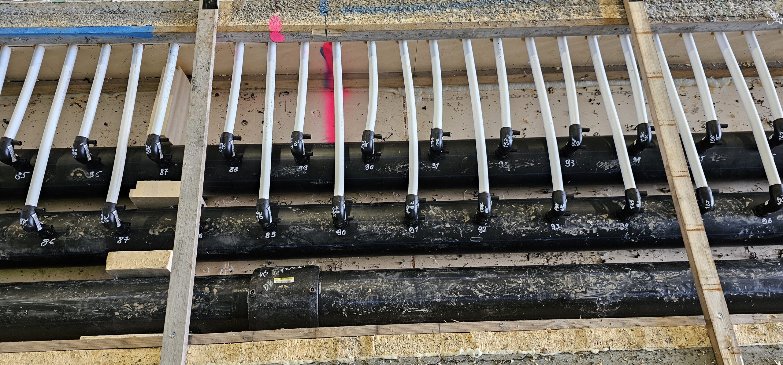 20240312 114757 scaled — Moss