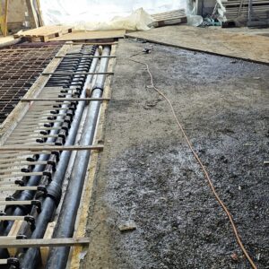 20240312 114759 scaled — Moss