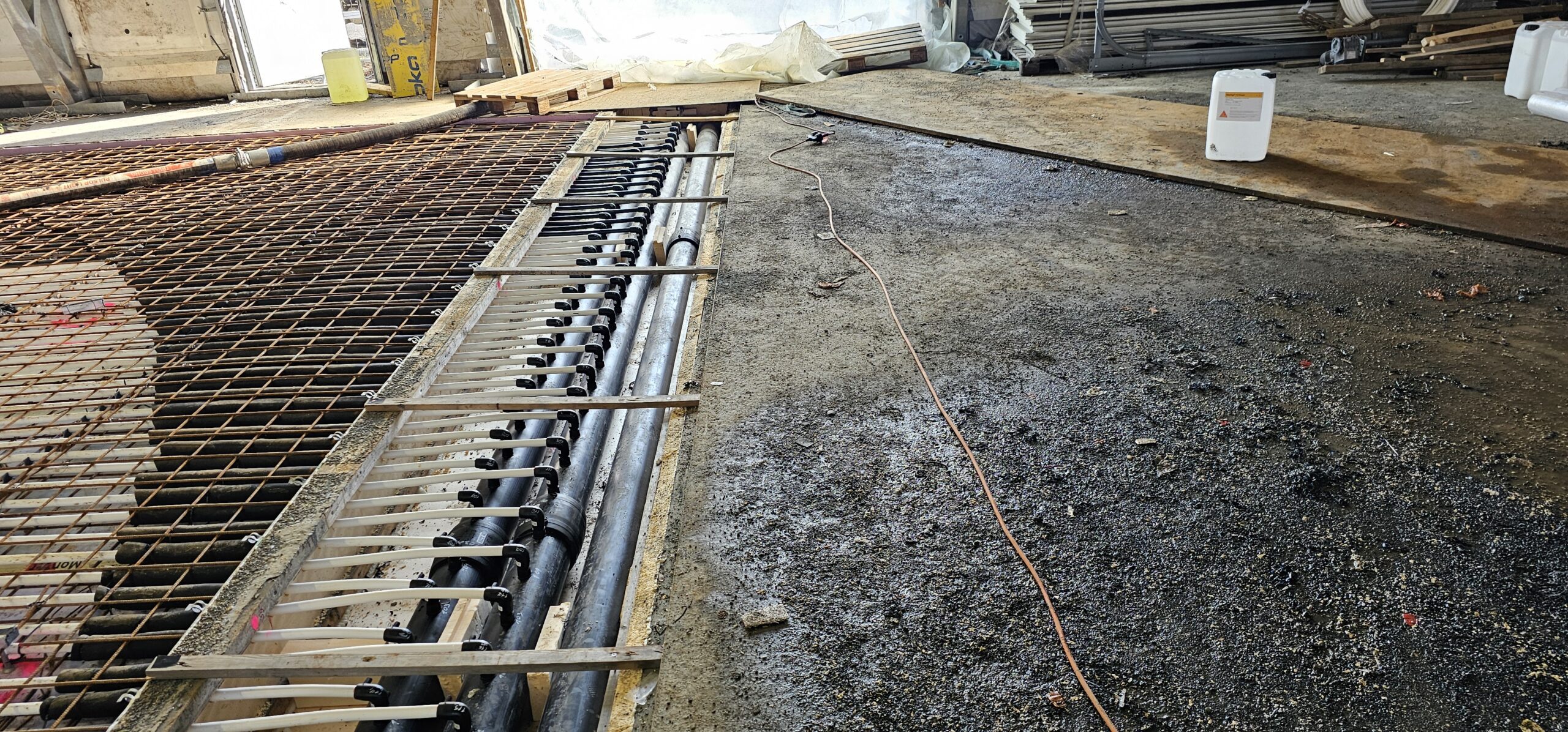 20240312 114759 scaled — Moss