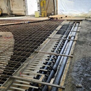 20240312 114800 scaled — Moss