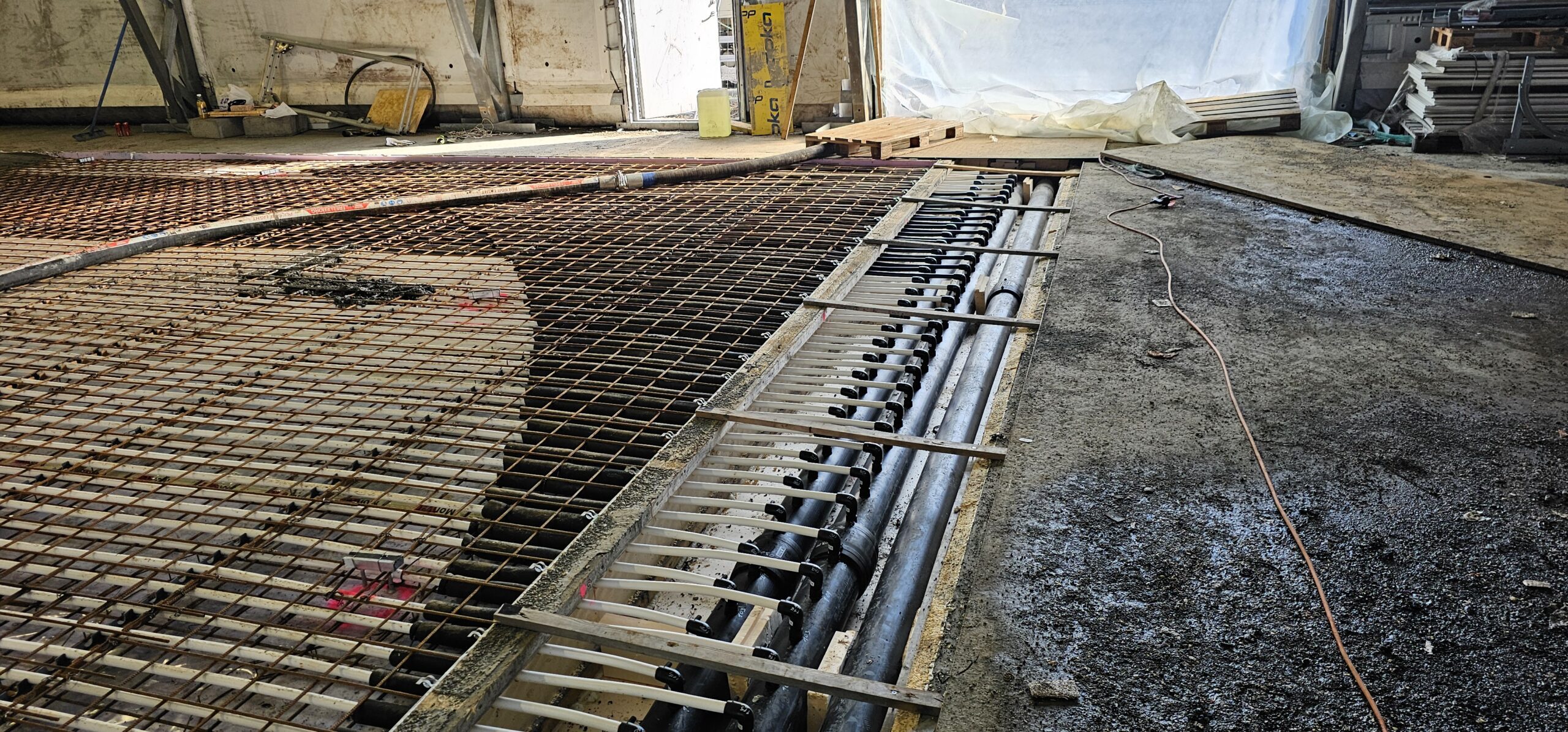 20240312 114800 scaled — Moss