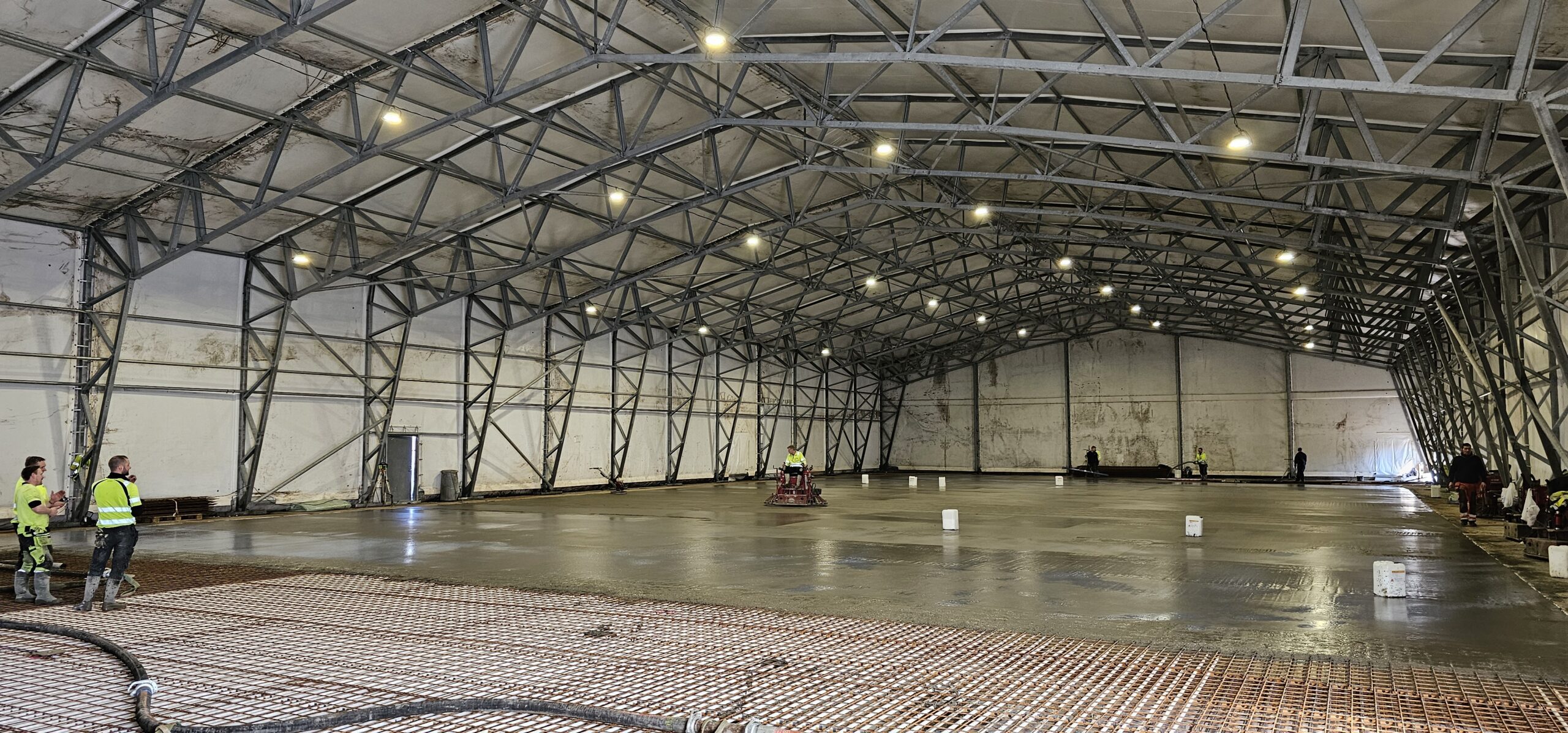 20240312 115725 scaled — Moss