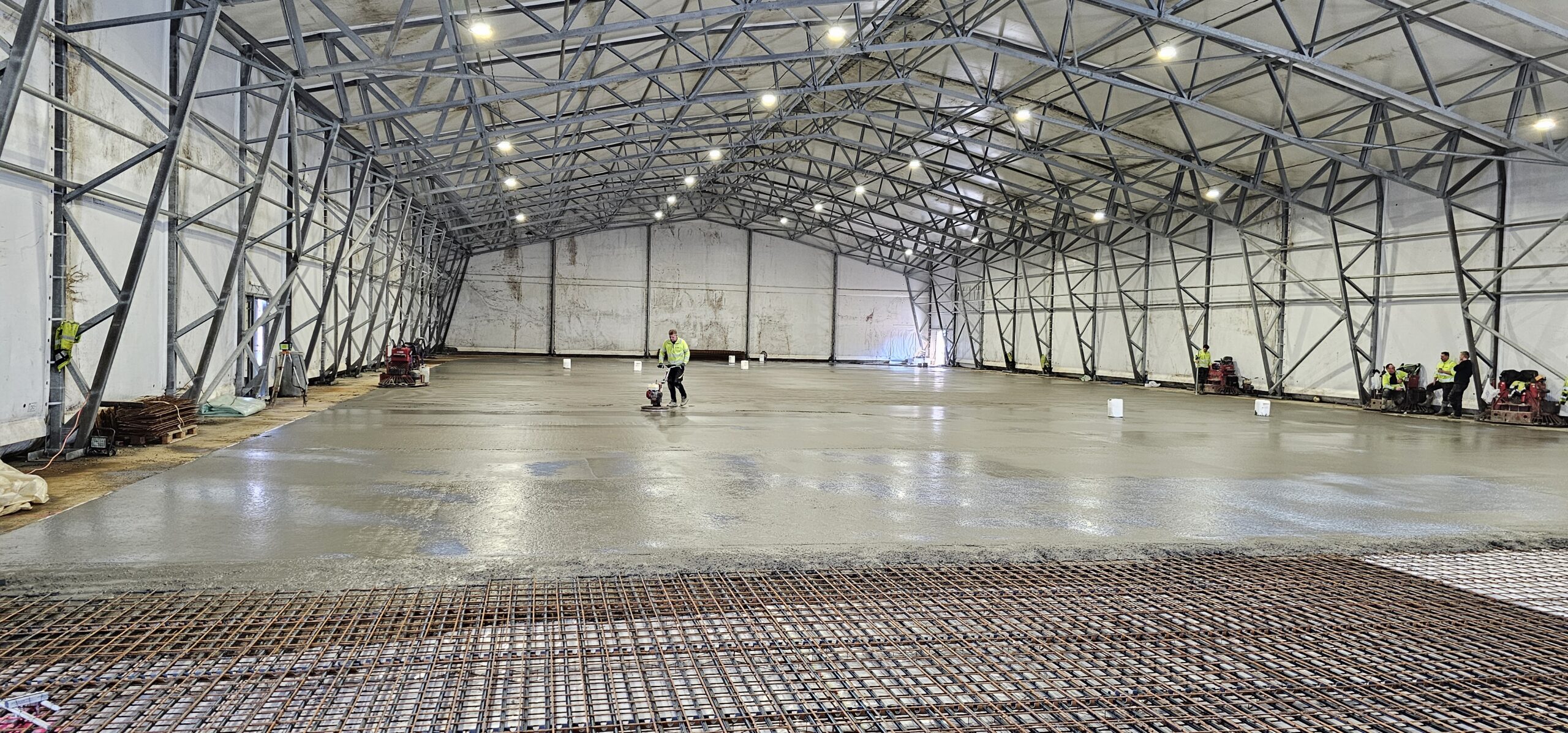 20240312 123251 scaled — Moss