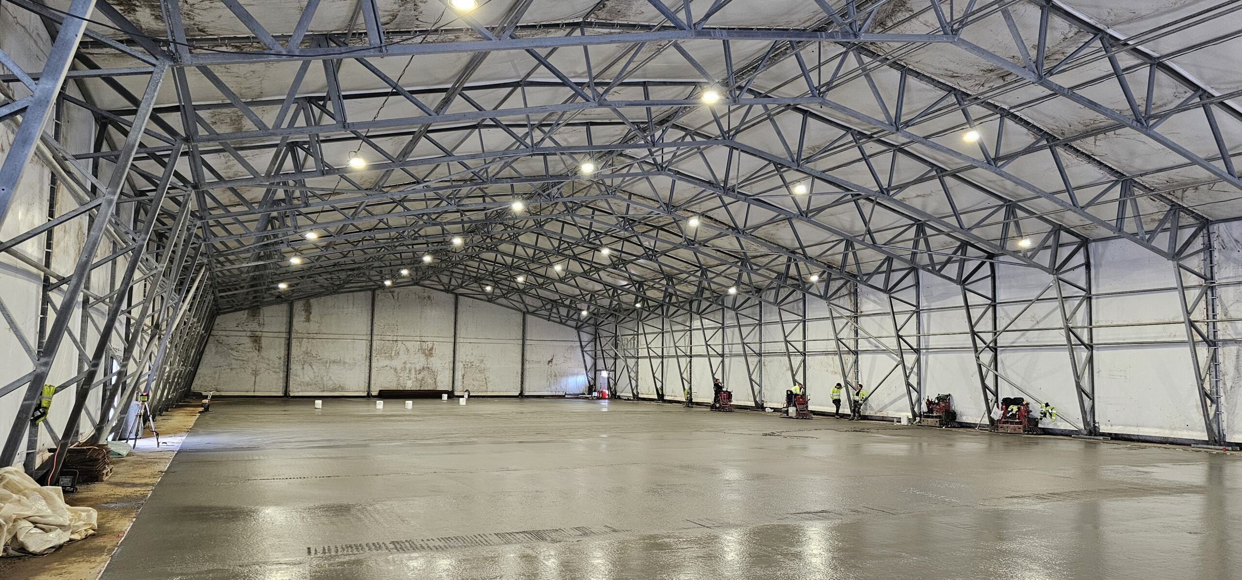 20240312 132934 scaled — Moss