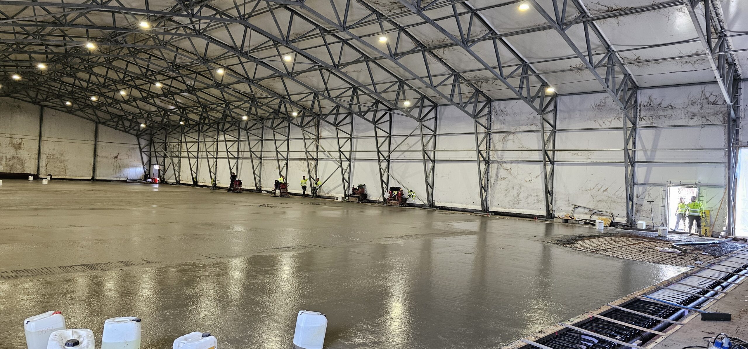 20240312 132939 1 scaled — Moss