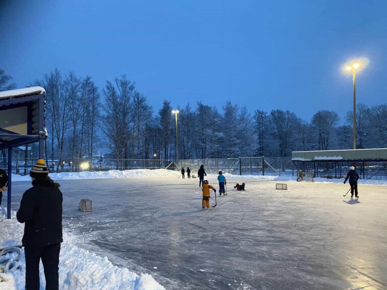 270663940 4621138904659937 8734340717912047154 n — Moss