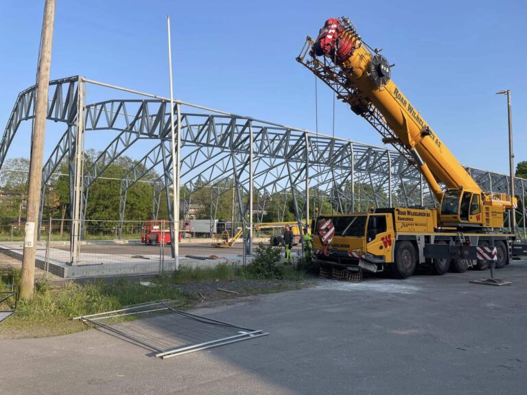 347386641 257373220203847 3316666446838841897 n — Moss