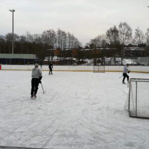 48403212 1938275882946266 8185329186450178048 n — Moss