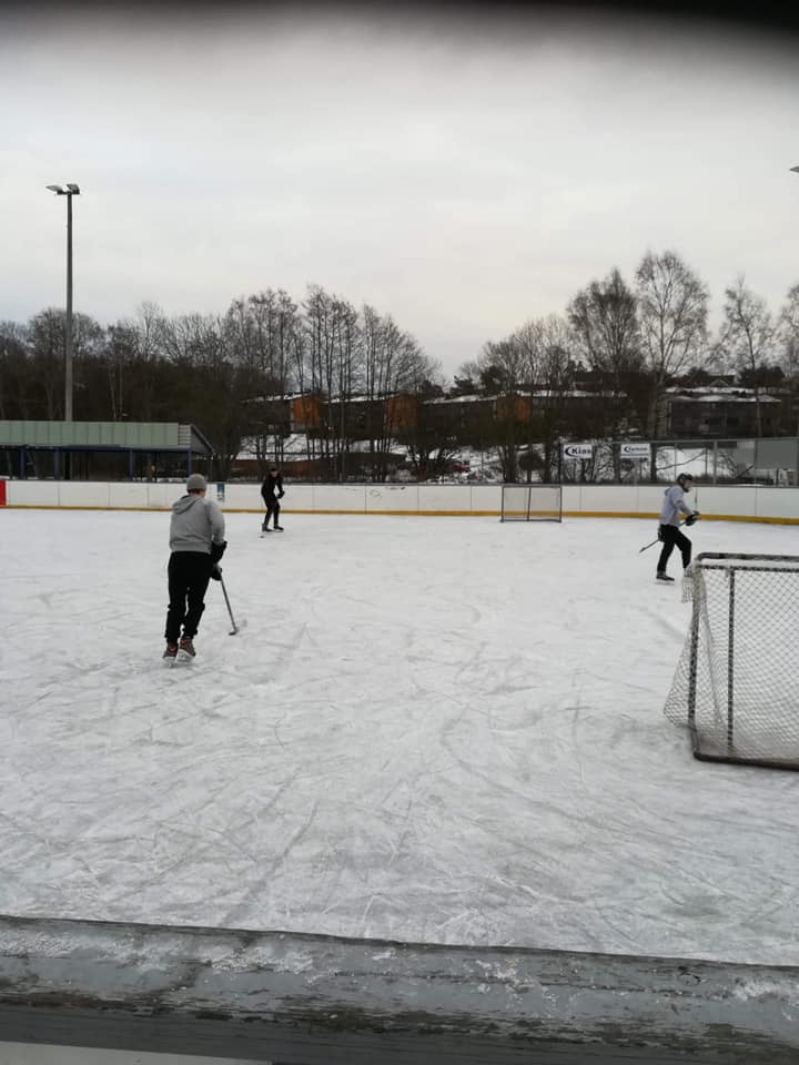 48403212 1938275882946266 8185329186450178048 n — Moss