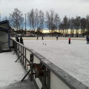 48417171 1938275906279597 4086630351005286400 n — Moss