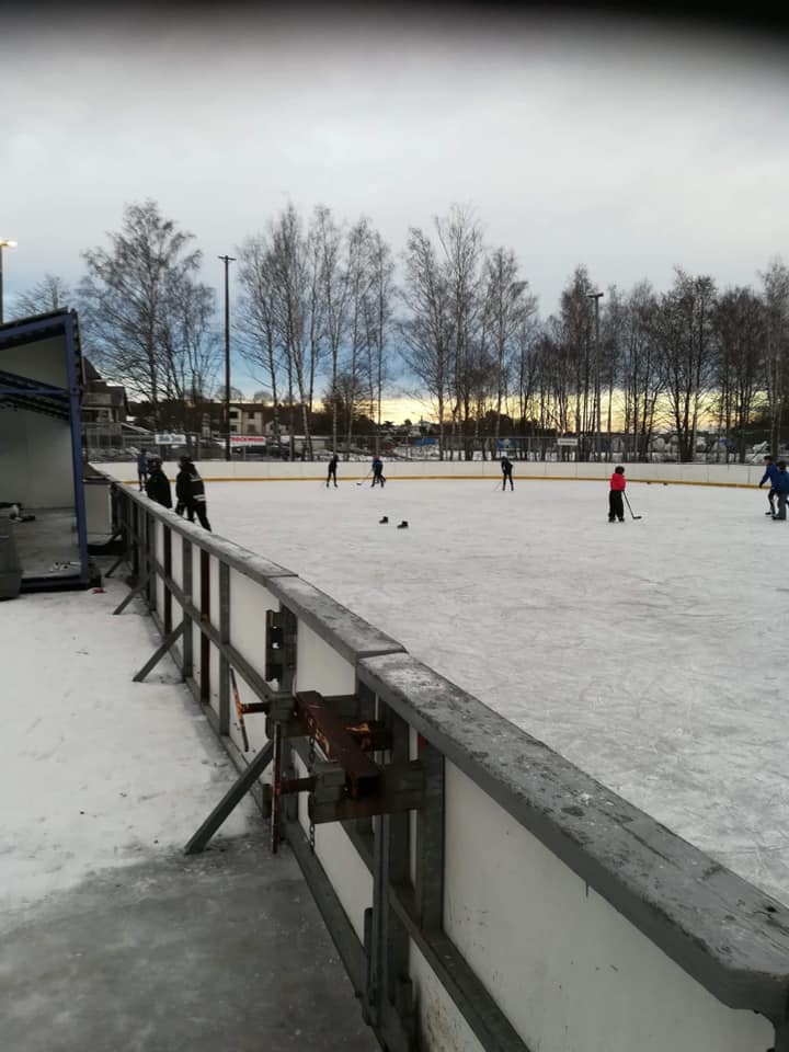 48417171 1938275906279597 4086630351005286400 n — Moss