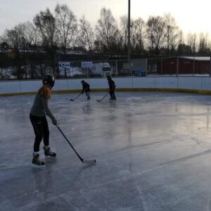 48429984 1938275859612935 4320831451617558528 n — Moss