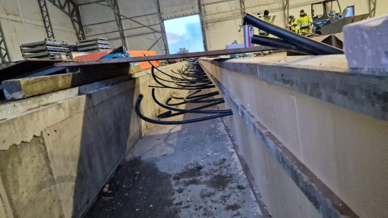 APP 20240117 210556 — Moss