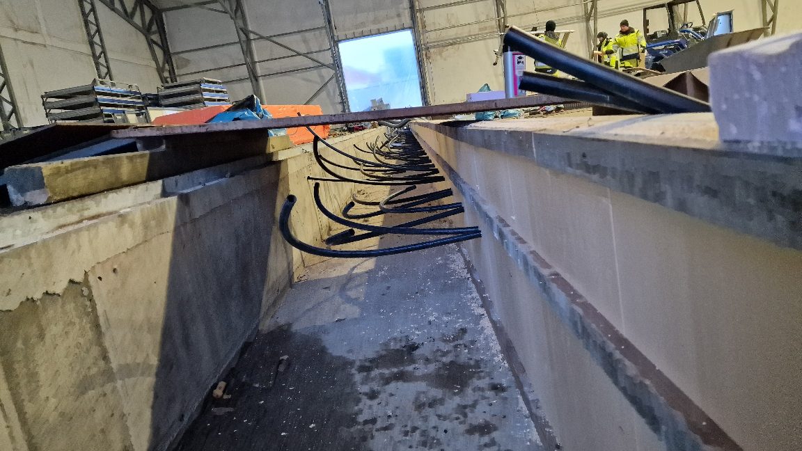 APP 20240117 210556 — Moss