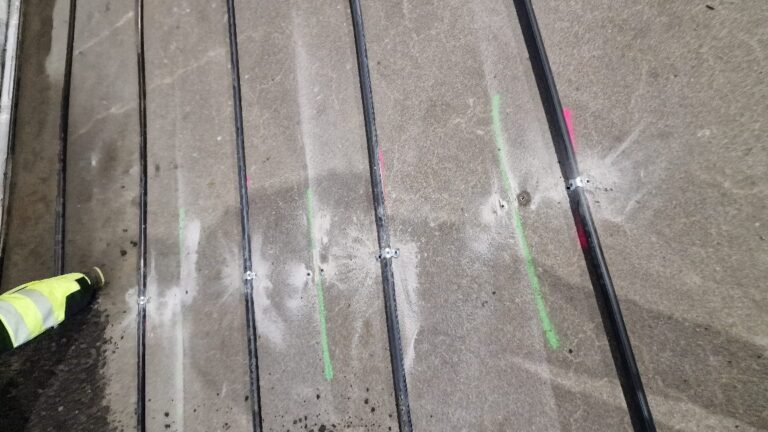 APP 20240201 1908023 — Moss