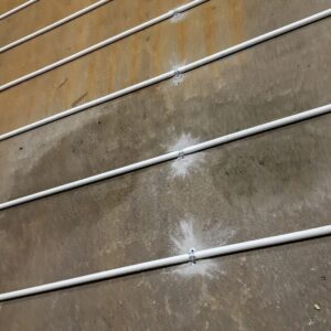 APP 20240201 1908026 rotated — Moss