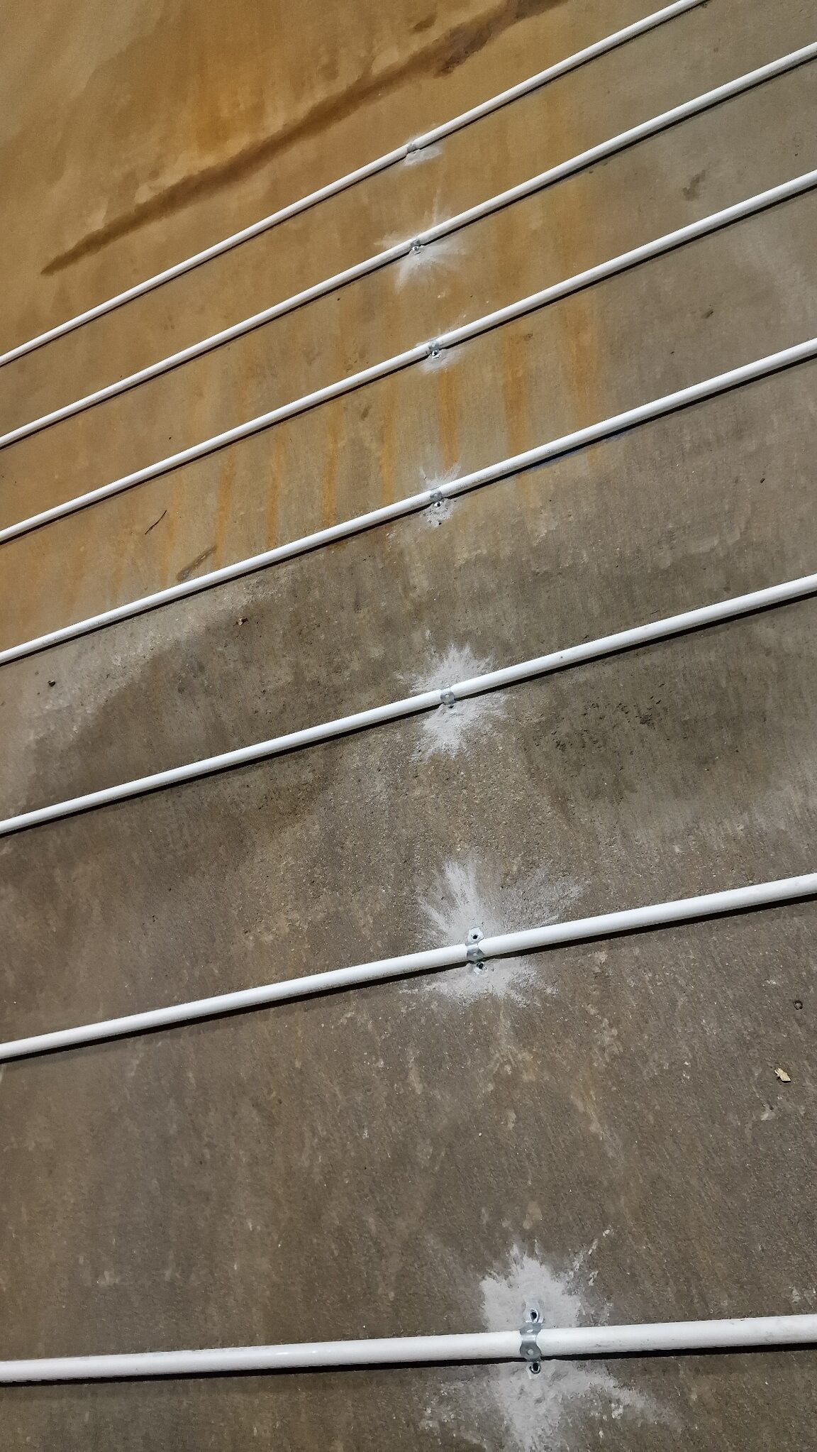 APP 20240201 1908026 rotated — Moss