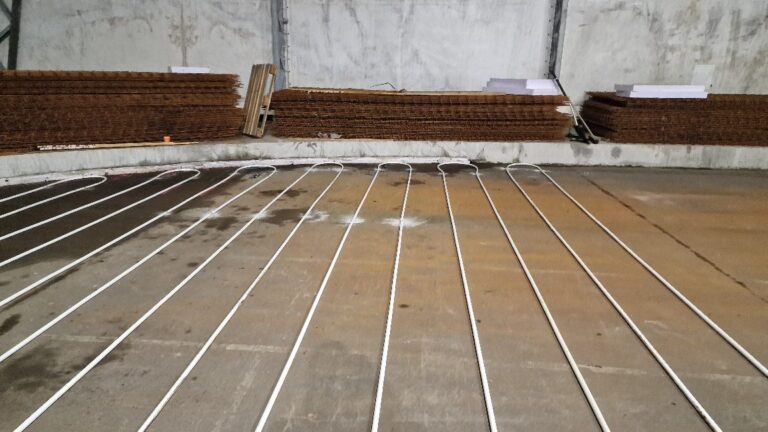 APP 20240201 1908027 — Moss