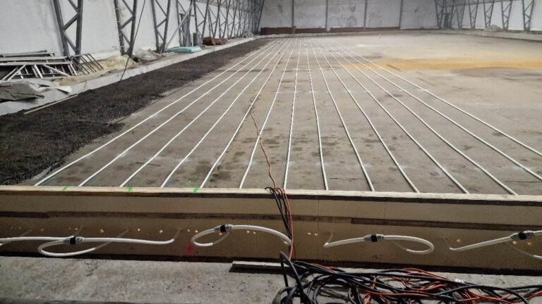 APP 20240201 1908028 — Moss