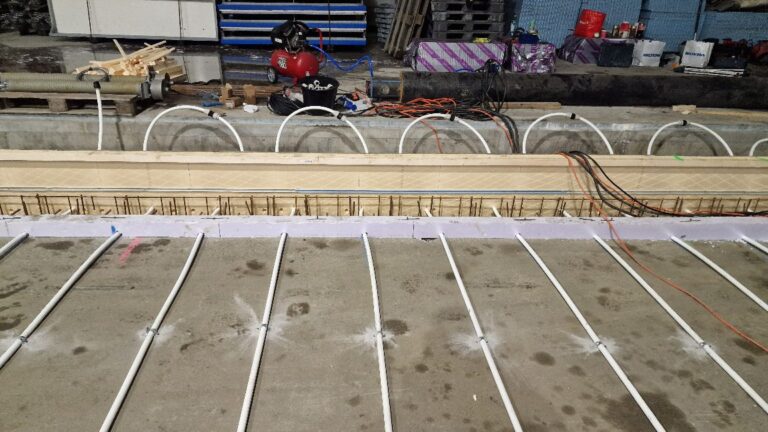 APP 20240201 1908029 — Moss