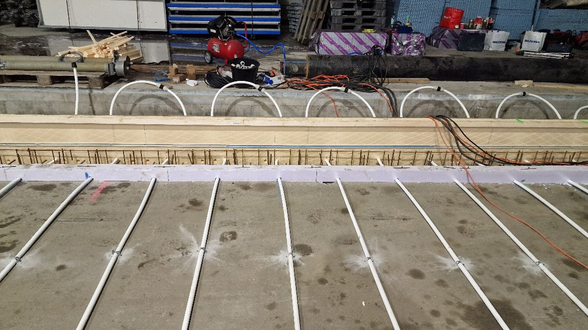 APP 20240201 1908029 — Moss