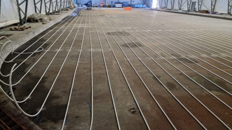 APP 20240203 094116 — Moss