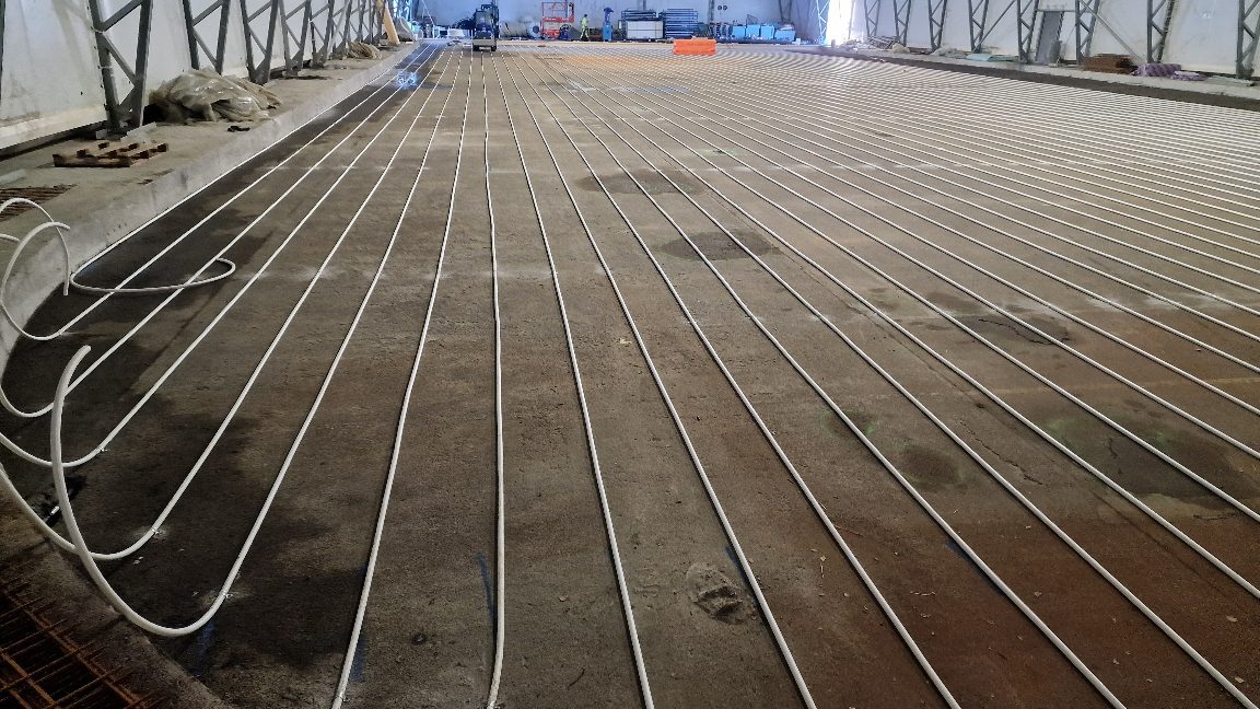 APP 20240203 094116 — Moss