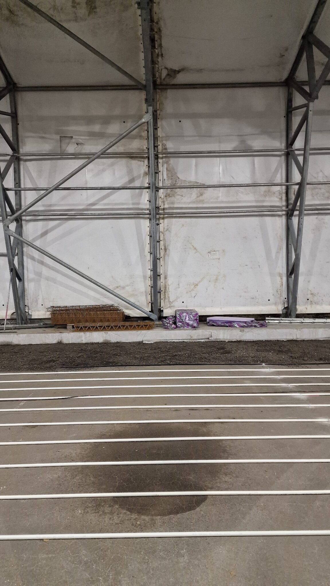 APP 20240203 0941163 rotated — Moss