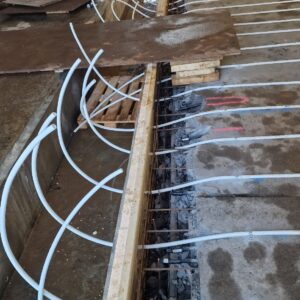 APP 20240203 0941164 rotated — Moss