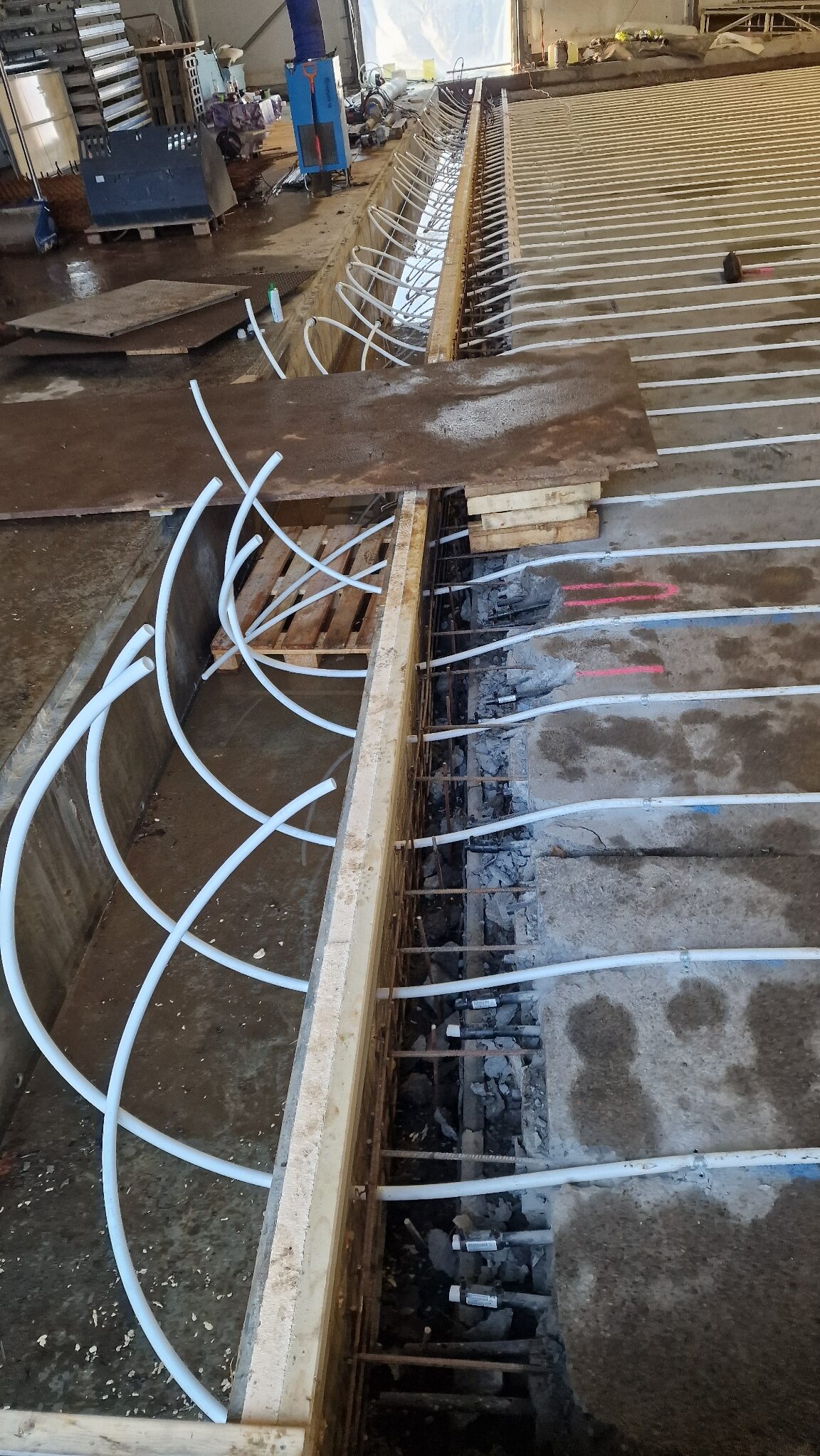 APP 20240203 0941164 rotated — Moss