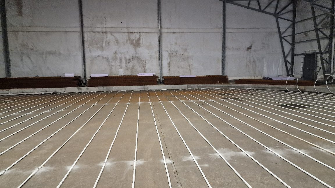 APP 20240203 0941165 — Moss