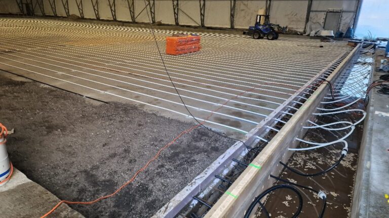 APP 20240203 0941166 — Moss