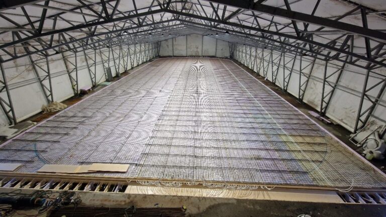 APP 20240220 182735 — Moss