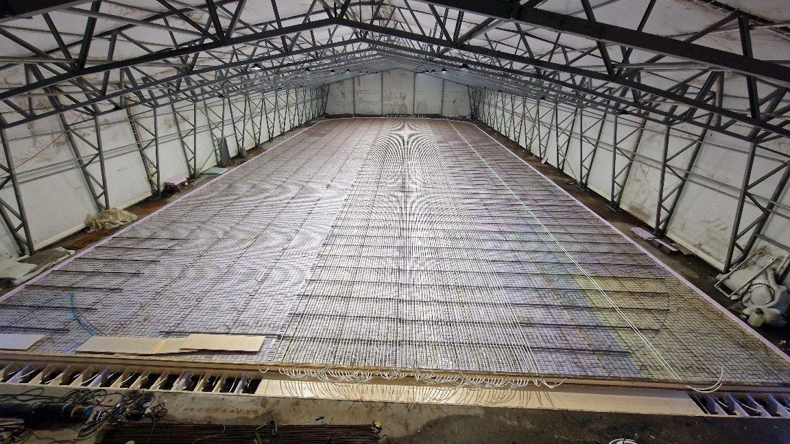 APP 20240220 182735 — Moss