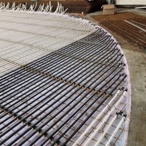 APP 20240221 190319 rotated — Moss