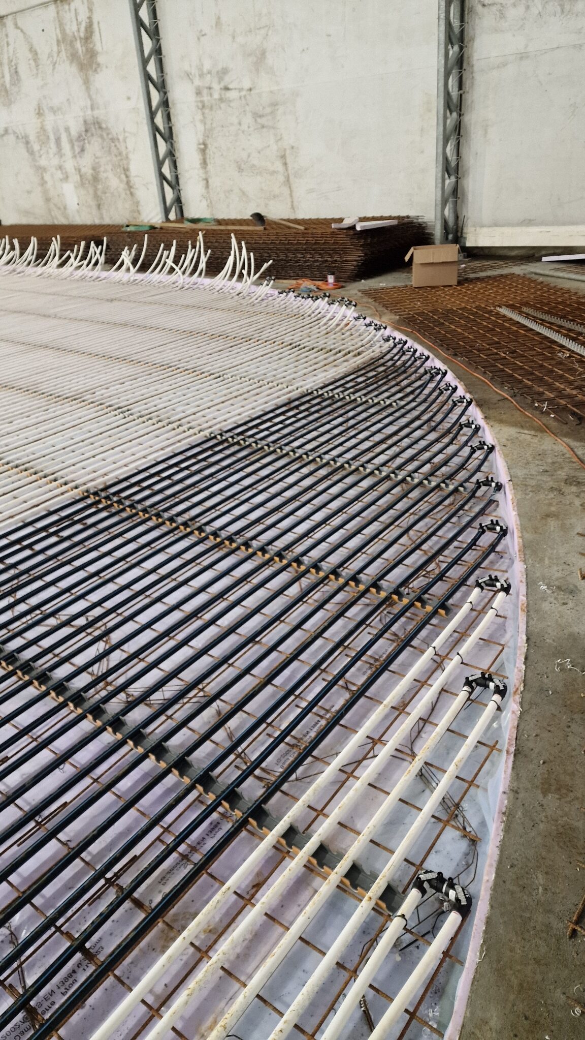 APP 20240221 190319 rotated — Moss