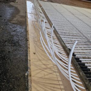 APP 20240221 1903193 rotated — Moss